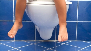 Toilet Training Children and Adolescents with Down Syndrome