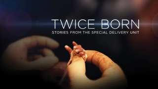 title screen from Twice Born