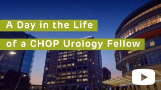 Urology fellowship candidate