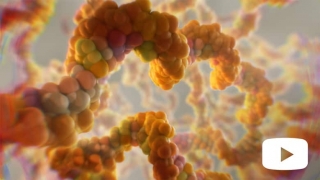 Screenshot from How mRNA Vaccines Work video