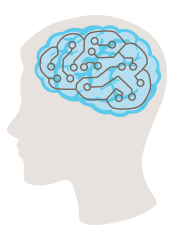 Illustration of healthy brain