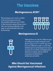 Meningococcal Vaccine Infographic