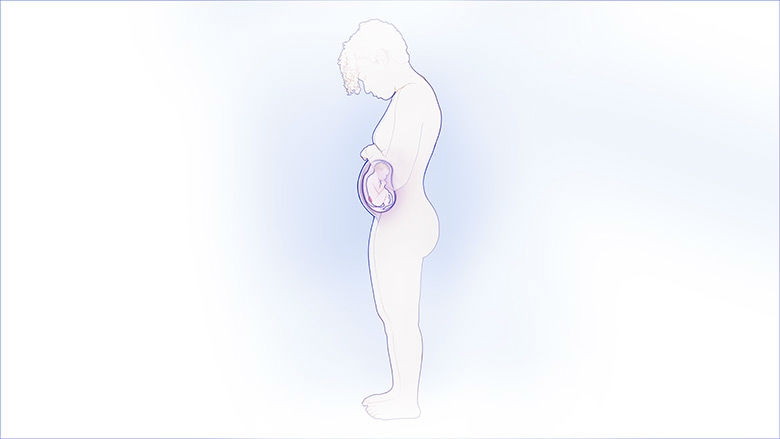 Illustration of mother's whole body and fetus