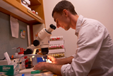 Physician in lab