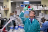 White doctor analyzing sample in a research laboratory