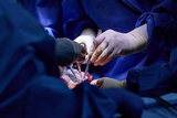 Kidney Transplant Canonical image