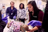 Yen Tay, MD (right), leading an ExPERT session.