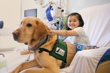 Dilly hangs out with Shelby, 9, during a blood treatment.