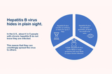 Hepatitis B hides in plain sight diagram