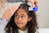 Young girl getting hair combed for lice test Young girl getting hair combed for lice test