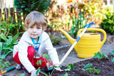 Young boy in garden Young boy in garden