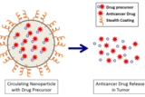 Nanoparticles vs Neuroblastoma