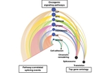 New Computational Tools Identify Alternative Splicing Changes in Aggressive Cancers New Computational Tools Identify Alternative Splicing Changes in Aggressive Cancers