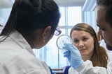 Researchers looking at petri dish