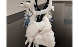 The 3D Printing Lab at CHOP is founded.