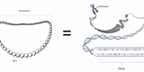 Chromosome