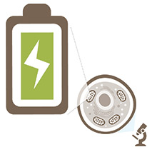 Mitochondria are Batteries of the Cells Illustration