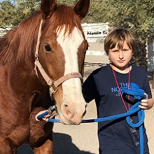 Sebastian and his horse
