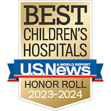 us news honor roll badge