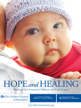 2012 General Thoracic and Fetal Surgery Stewardship Report