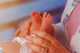 Newborn baby feet