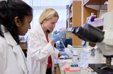 Physician working in the lab with her colleague.