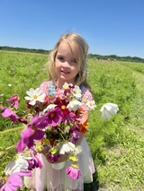 4 year old little girl Lyra stands in a field holding wildflowers