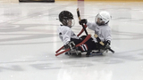 Sled hockey