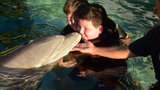 Raymond and Mom swimming with dolphins