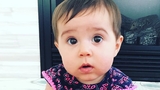 Stella