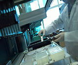 Images of Researcher in the Genomics Lab