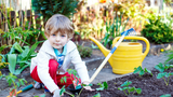 Young boy in garden Young boy in garden