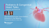 The Atrioventricular Canal Defect: Elements in the Balance