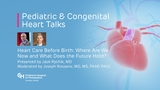 Heart Care Before Birth: Where Are We Now and What Does the Future Hold?