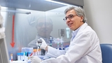 Stefano Rivella, PhD