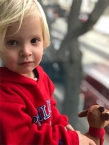 Portrait of Bear