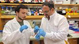 researchers
