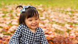Isla