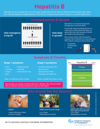 Hepatitis B infographic