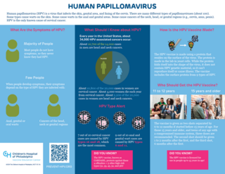 HPV Infographic