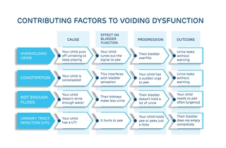 Contributing factors to voiding dysfunction