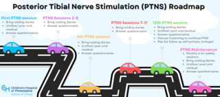 PTNS roadmap 2024