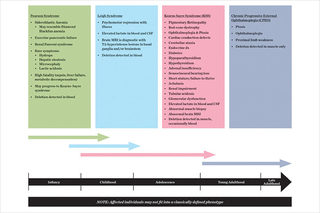 SLSMDS patients commonly present with diverse phenotypes and changing organ involvement that may evolve over a patient’s lifespan