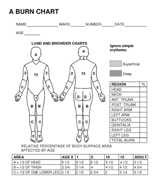 Lund and Browder Chart