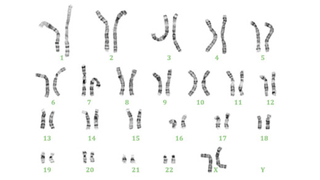 dna illustration