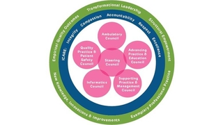 Professional Governance Model