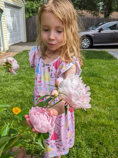 The little girl is touching the flowers.