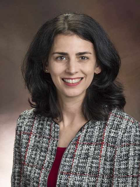 Larissa Hutchins, MSN, RN, CCRN, CCNS, NEA-BC 