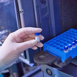 Gloved hand holding a test tube Gloved hand holding a test tube