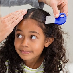 Young girl getting hair combed for lice test Young girl getting hair combed for lice test